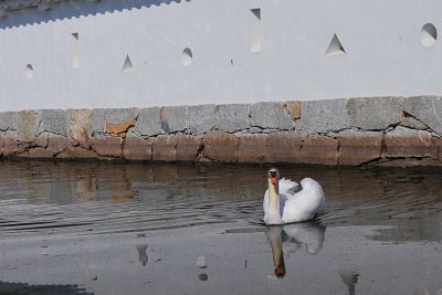 090228_29_cr.jpg