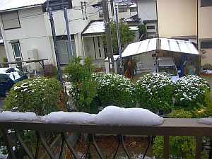 ベランダ越し.jpg