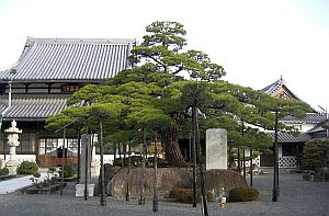 花岳寺.jpg