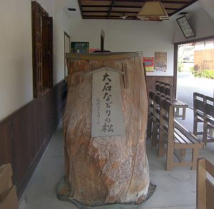 初代名残の松.jpg