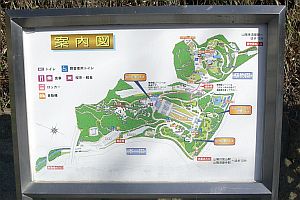案内.jpg